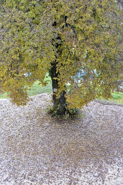 L'Escale En Ubaye Bed and Breakfast Saint-Pons  Eksteriør billede